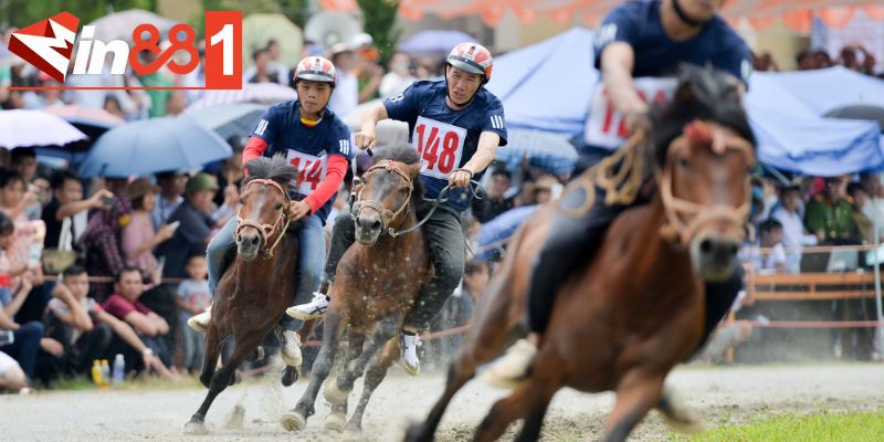 Điểm qua các hình thức đầu tư hiệu quả vào đua ngựa MIN88